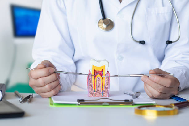 Best Emergency Cosmetic Dentistry in Dunlap, IN